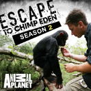 Escape to Chimp Eden: Seven Babies for a New Family, Pt. 2